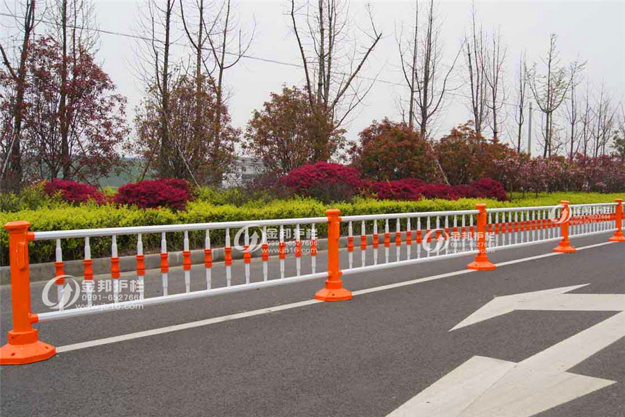 道路護(hù)欄-005